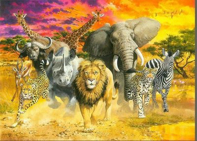 African Stampede