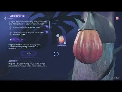 Fruits Fortune Fruits Fortune