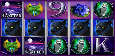 Panther Moon