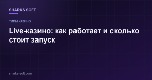 Live-казино: как работает и сколько стоит запуск
